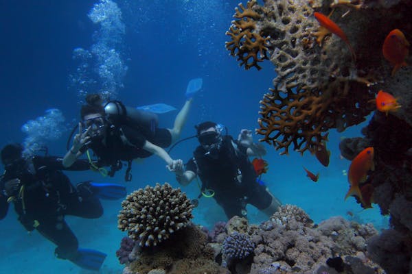 Zanzibar Scuba Diving: Explore One of Africa’s Premier Underwater Destinations