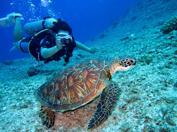 Scuba Diving in Zanzibar: Dive into an Underwater Paradise