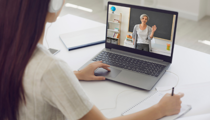 Why Online Dutch Language Lessons Are Perfect for Busy Professionals