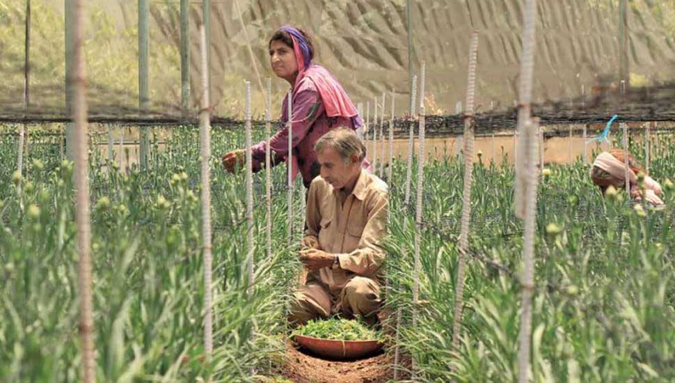 How to Improve Agricultural Growth in Uttar Pradesh