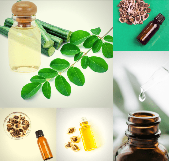 The Growing Importance of Moringa Oil Bulk in Global Wellness and Industry